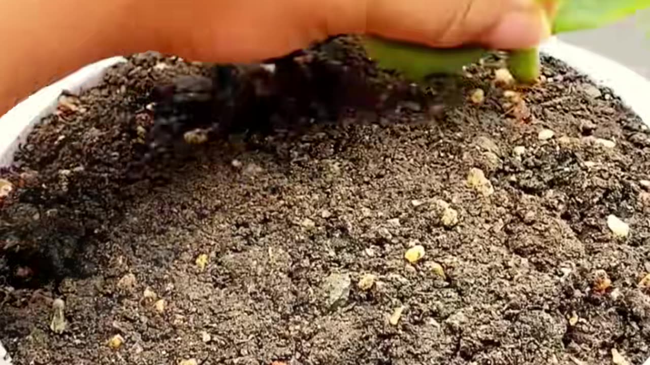 🤯✨ Transform Your Old T-Shirts into Something Amazing! | LifeHacksDaily