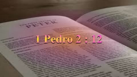 Estudio,1 Pedro 2: 12 (Verso por verso)