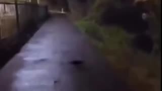 😂🎬 Bro Went from 'Scream' to 'Scary Movie' in 5 Seconds! | FunFM