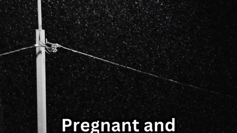 Pregnancy Sleepless Facts#InsomniaHelp 💤 #SleepDeep 😴 #PeacefulNights 🌜 #NoMoreTossing 🛏️ #RestEasy🌠
