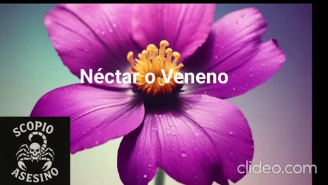nectar o veneno