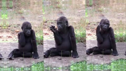 James Charles drama ex boyfriend abuse reaction