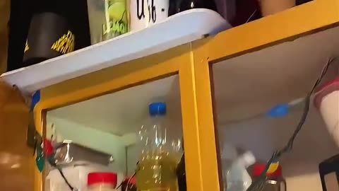 Landlord shows “Day 1 of an eviction clean out” tenants were all LGBTQ