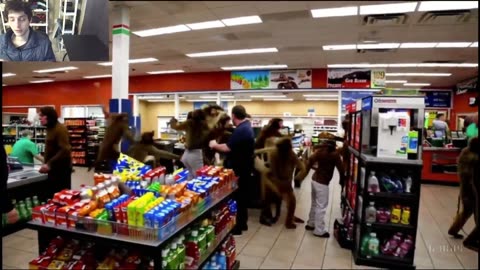Outtake #1,060 Of Over 5 Monkeys Roam Around A Convenience Store Fake Funny Parody Video