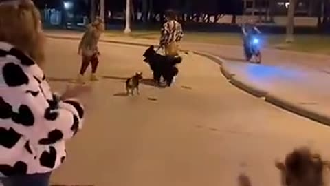 Karen Sends Her Dog To Attack Mine