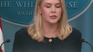 “Trump ve con positividad el progreso en las negociaciones rusa-ucraniana”
