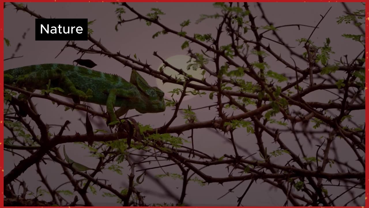 The World of Reptiles 🌍🦎 | Stunning Nature Documentary
