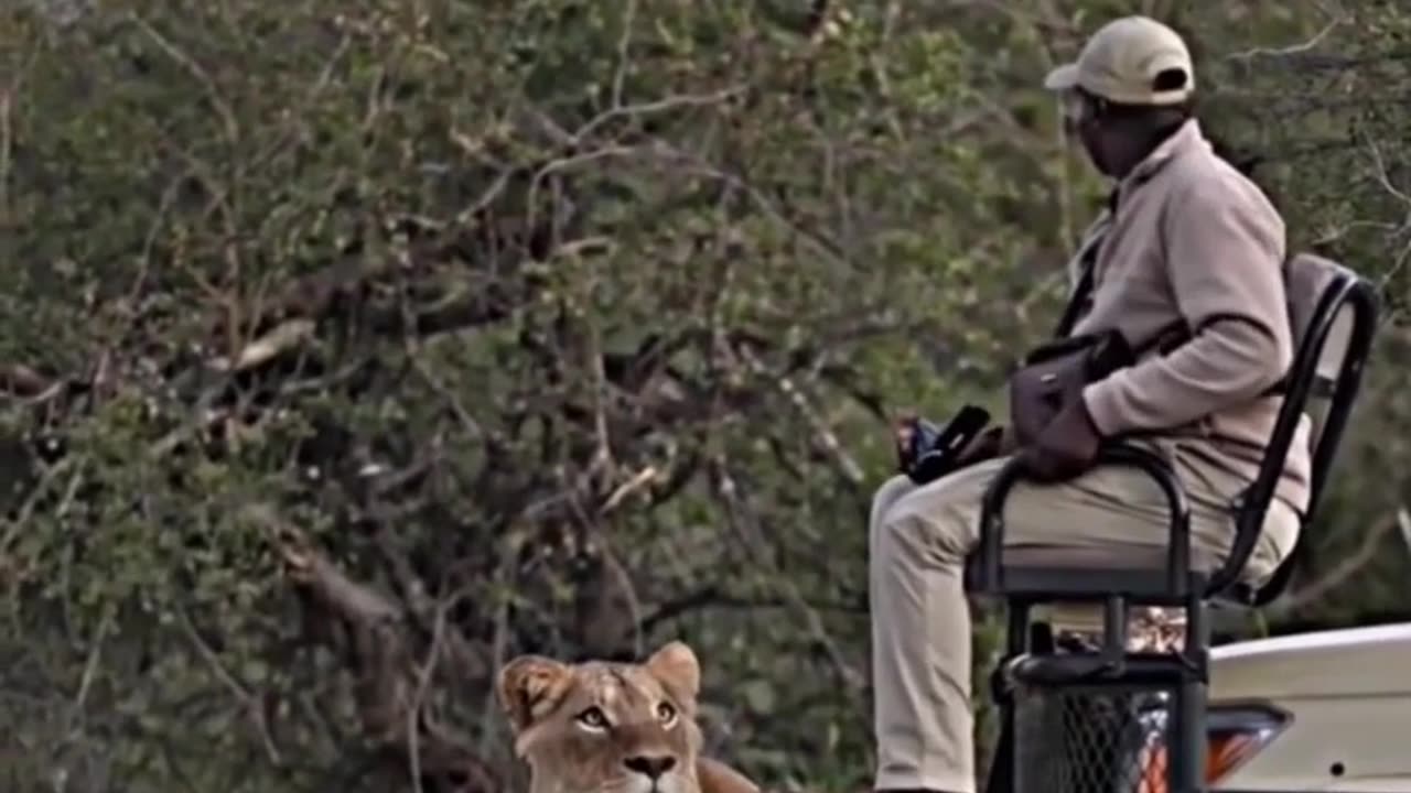 Funny videos