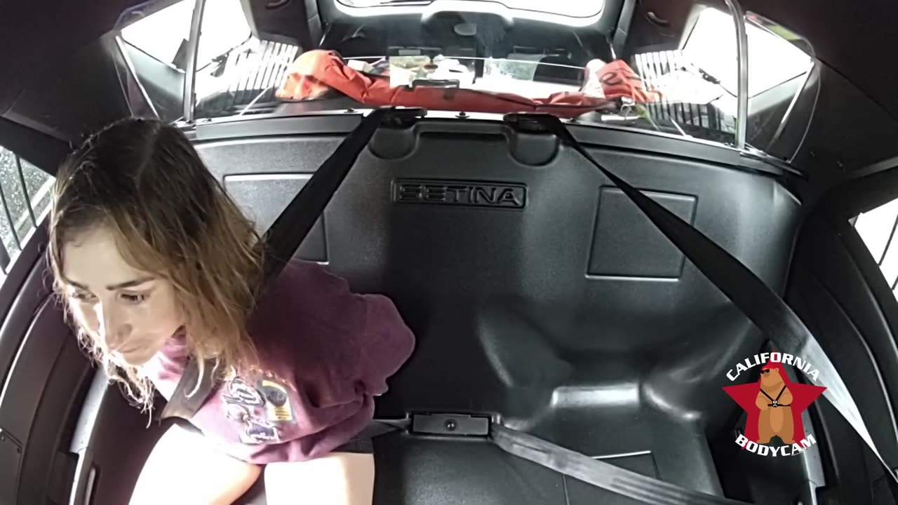 Belligerent 25-Year-Old Drives Drunk on the Sidewalk