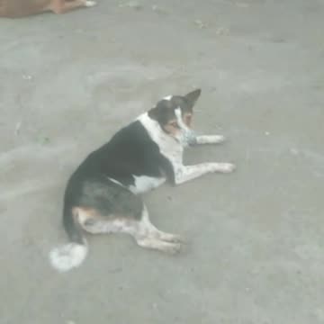 Please take care of us.