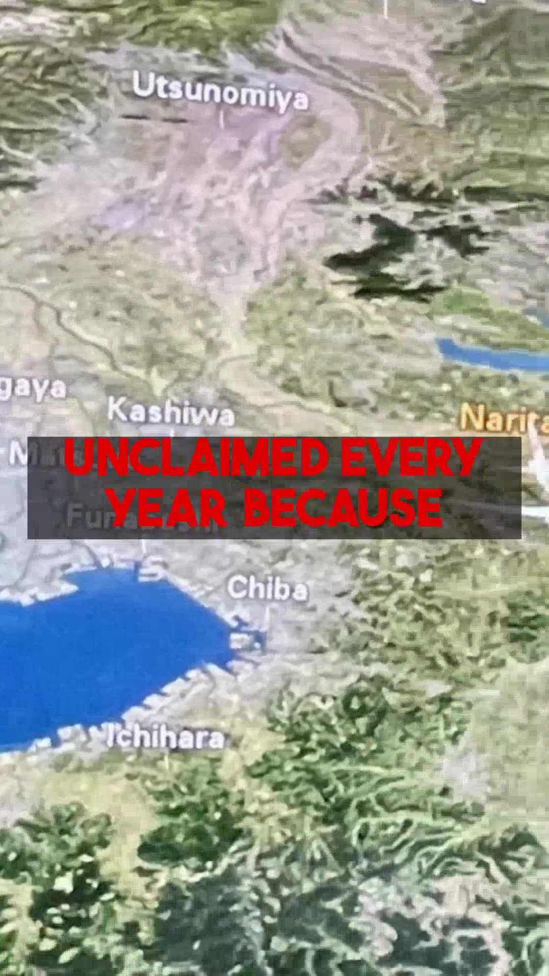 Claim Your Delayed Flight Compensation: AI Flight Refunds Tutorials.