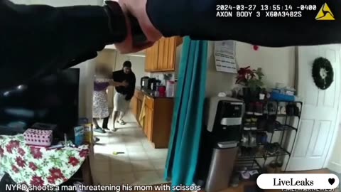 Stupid Criminals Shot by Cops - NSFW