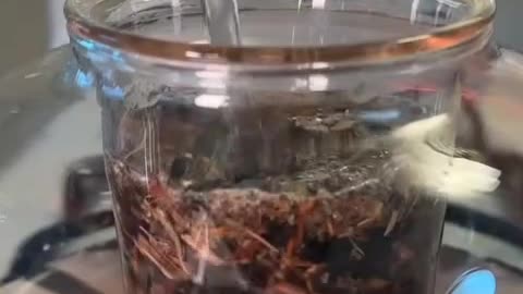 This is your herbal blend to detox the lungs.