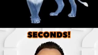 Must Watch: Best Optical Illusion - LION