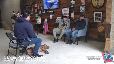 Consultation: Guapo | Client Referral, PHS Alumni Back For Big Boy Training, Over-Stimulated Pittie
