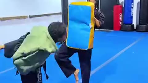 Hapkido Kicking Techniques