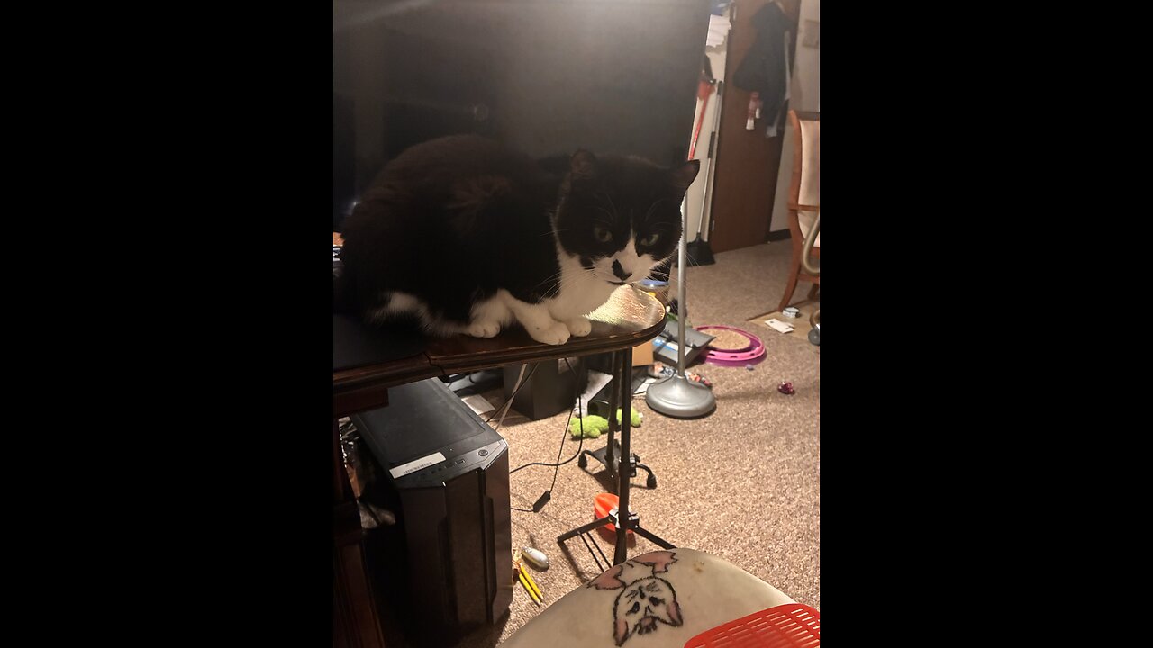 Ah Dinner time daddy!