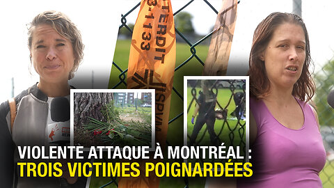 Sécurité à Montréal : Une mère tire la sonnette d'alarme