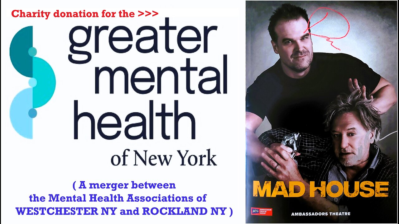DAVID HARBOUR ⭐️+ BILL PULLMAN ⭐️signed playbill 🎭for the 'Greater Mental Health of New York'