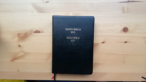 RVG KJV Parallel Bible (May 19, 2025)