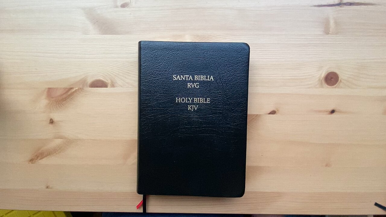 RVG KJV Parallel Bible (May 19, 2025)