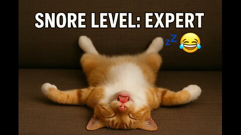 When life gets too hard... take a nap like this!"