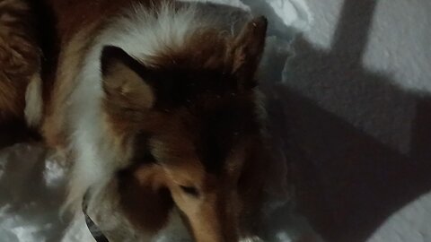 The one man loving the snow in the USA right now