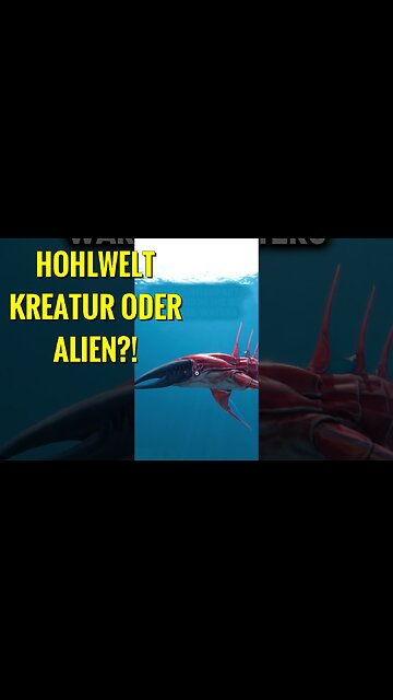 Dieser Leviathan ist in den antarktischen Gewässern rund um Neuschwabenland zu finden