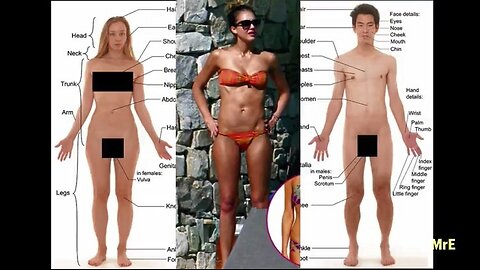 MrE: And What About the Sick Androgynous LGBTQIA+ Womans Health?