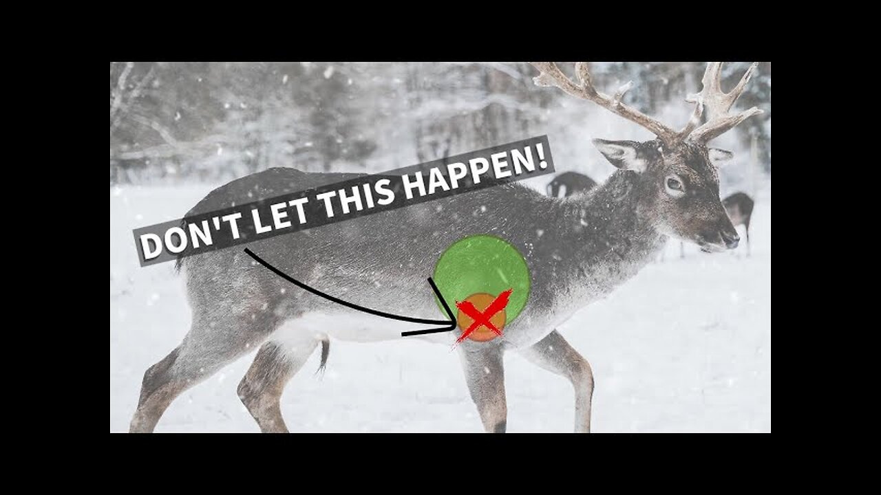 Long Range Hunting - Trash That Creedmoor?