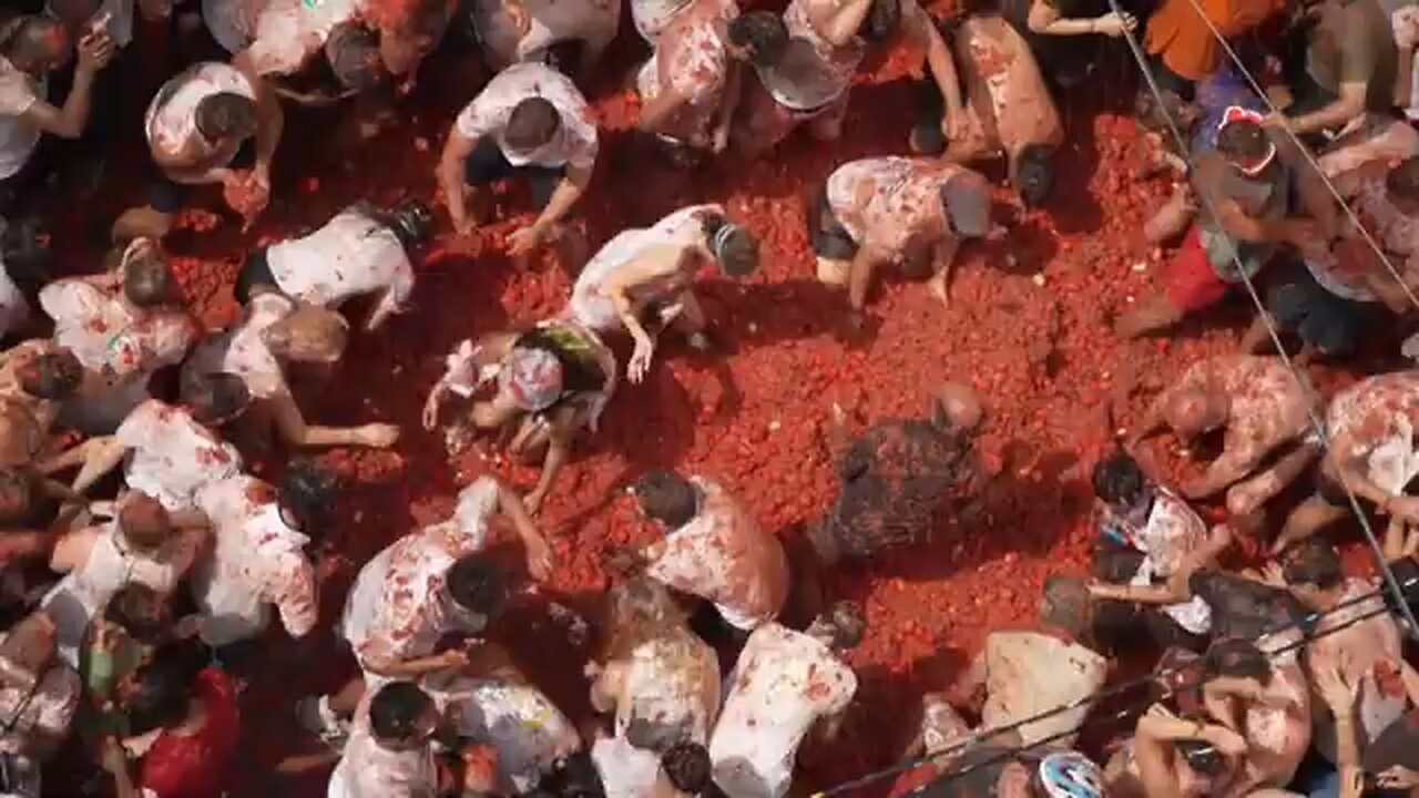 Thousands take part in annual Spanish tomato fight festival