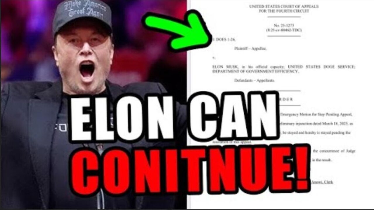 The Courts Have Sided With ELON MUSK ~ by Liberal Hivemind