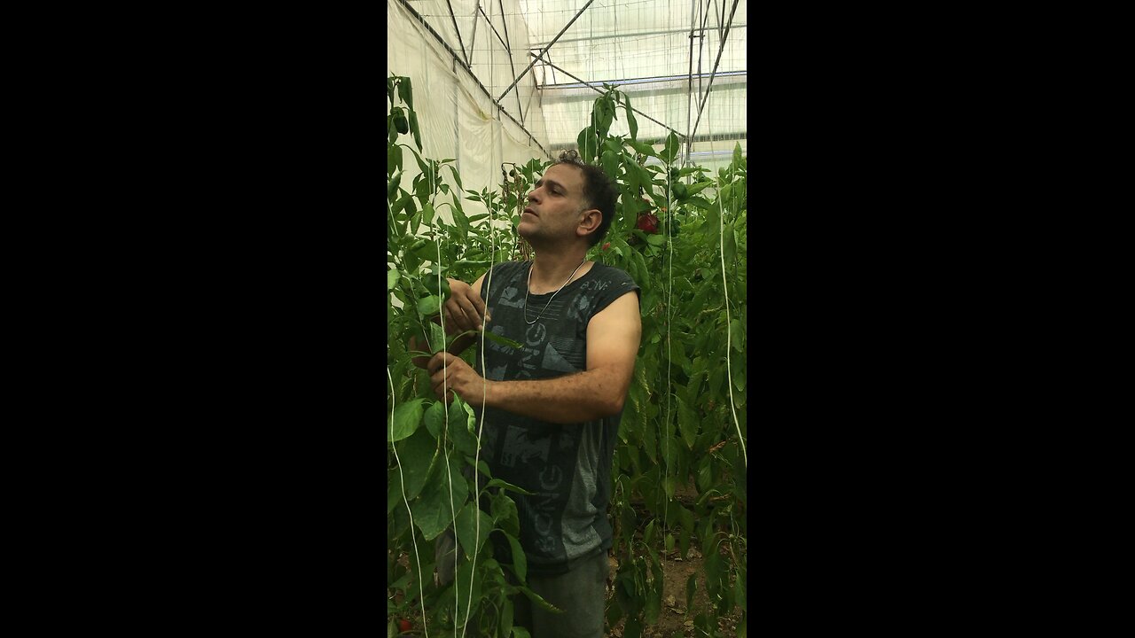 Garden house