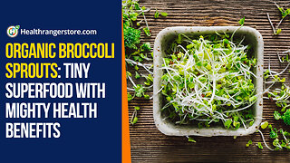 Organic Broccoli Sprouts: Tiny superfood with mighty health benefits