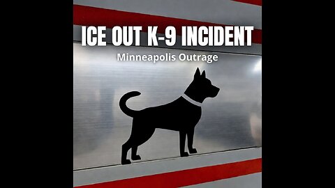 Minneapolis Worker Targets CBP K‑9 — Outrage Explodes Online