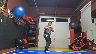 WTD 2 Step Kick Combination 160