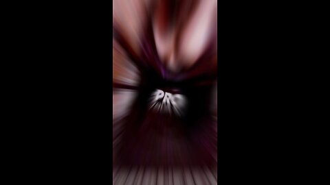 5 GYM PICS THAT MADE ME GO VIRAL EVERY TIME! 💥🔥 (The Secret to Standing Out!)