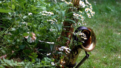 30 Days in June and a Blues Saxophone.