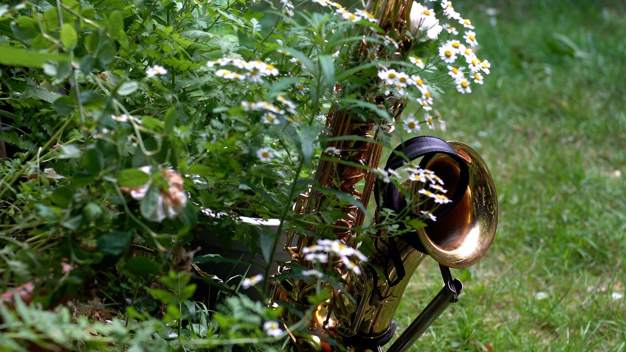 30 Days in June and a Blues Saxophone.