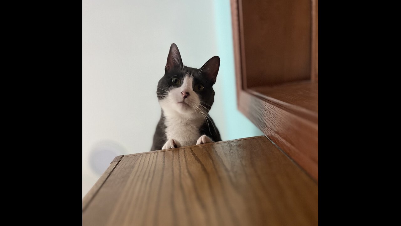 Episode 3069 The Scott Adams School 01/11/26