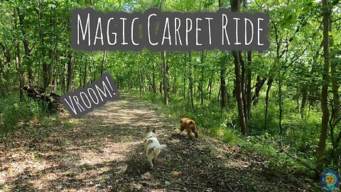 Magic Carpet Ride