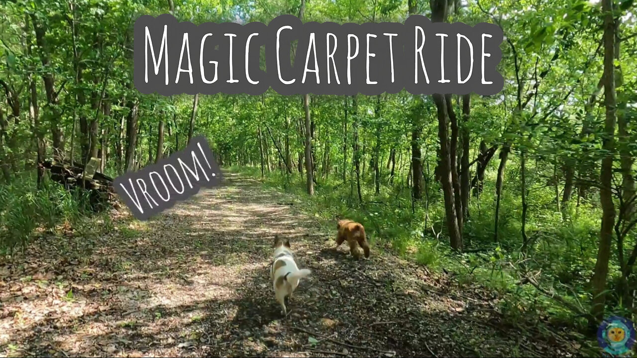 Magic Carpet Ride