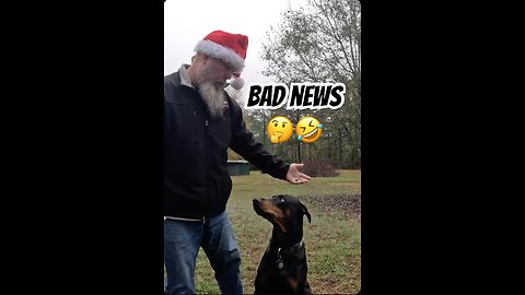 “You’re Adopted” Prank: VaderTheDobie's Zoomie Meltdown 🤣🐾 | Fan Suggested Content
