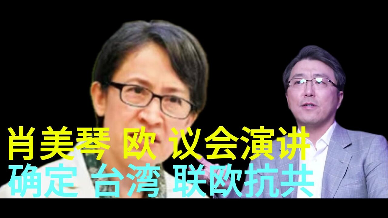 肖美琴 欧 议会演讲 确定 台湾 联欧抗共