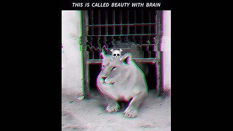 #Lions calm mind#