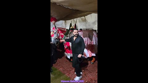 Zuljanah Mamoon Badshah