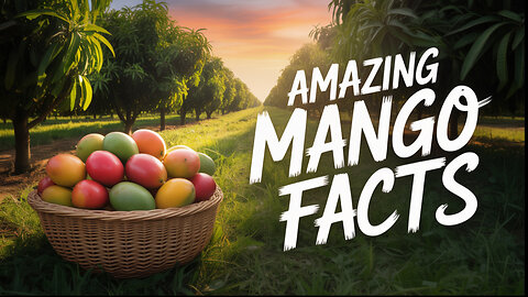 Amazing facts about mango 🥭🥭🥭