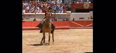 Merlin-The Bull Fighting Horse