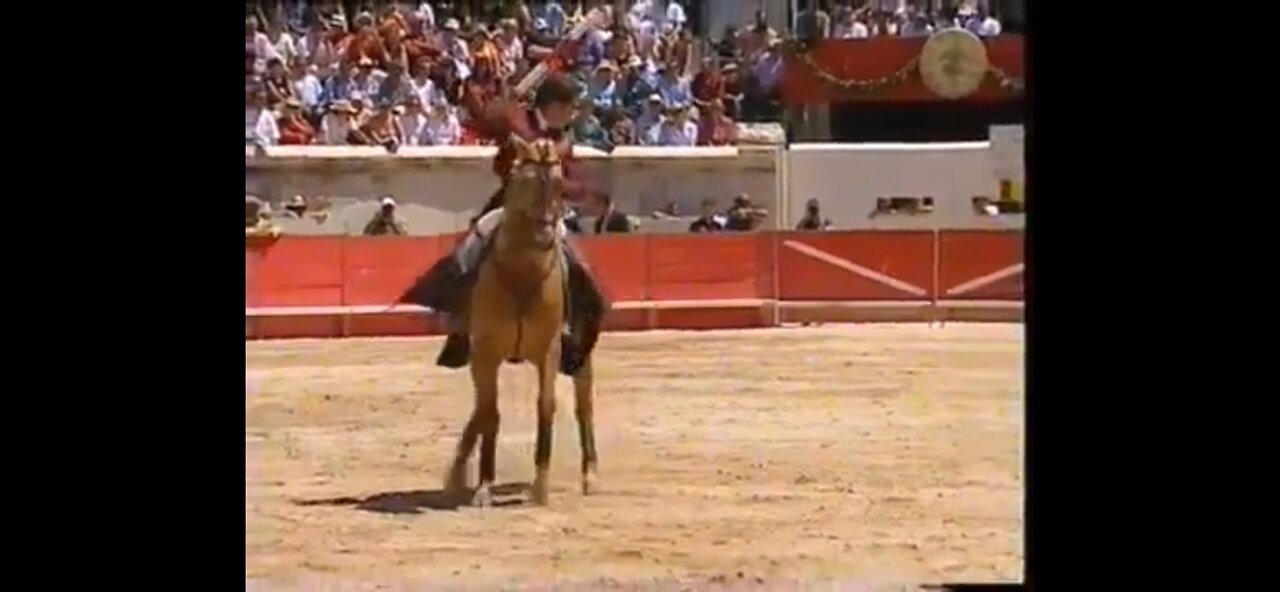 Merlin-The Bull Fighting Horse