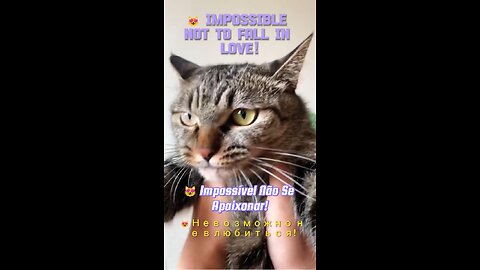 😻 Impossible Not to Fall in Love!